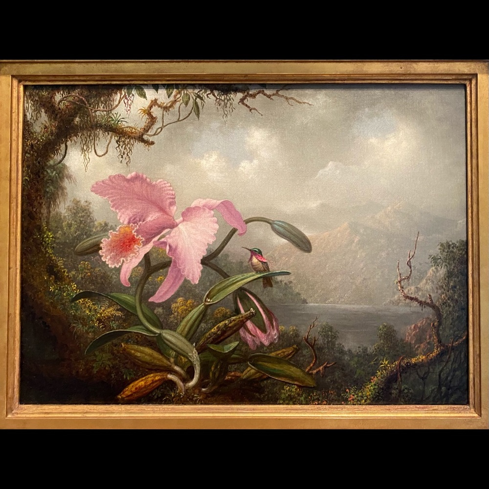 Meet your Posher, Pamela